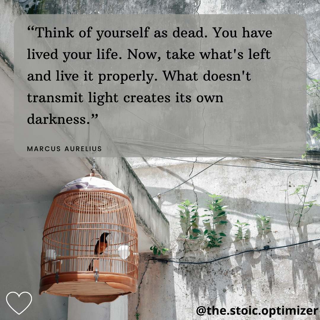 Quote by Marcus Aurelius on a background with a bird in a birdcage